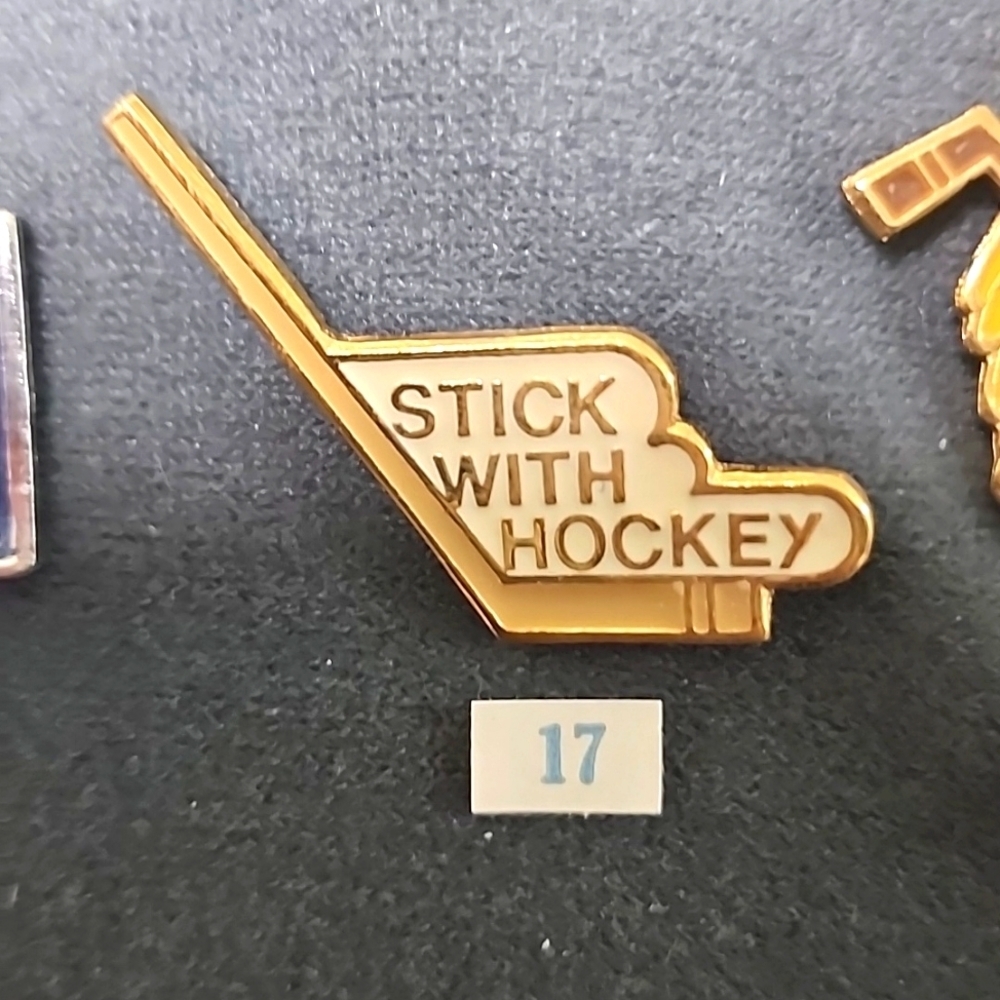 Stick with Hockey pin
